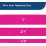 PetSafe Nylon Dog Leash, Strong, Durable, Traditional Style Leash with Easy to Use Bolt Snap - Available in Multiple Widths and Colors