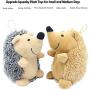 Umiee Plush Squeak Toys for Small Dogs and Puppy Pet Bite Chew Toys with Squeakers Small Stuffed Dog Toys 2 Pack Hedgehog