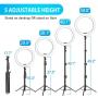Yesker 10.2" Selfie Ring Light Dimmable with Tripod Stand Cell Phone Holder Mini Led Camera Ringlight for Live Streaming Makeup YouTube Video Photography Compatible iPhone Android Remote Control