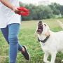 St.Zoe Dog Toys for Aggressive Chewers, Nearly Indestructible Tough Durable Natural Rubber Puppy Chew Toy for Large & Medium Breeds