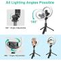 Selfie Ring Light with Tripod Stand & Phone Holder for Live Stream/Makeup, 6.3" Led Camera Ringlight with Hot Shoe Adapter for YouTube, Photography, Tiktok, Compatible with Android Smartphone, Gopro