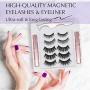 Magnetic Eyelashes with Eyeliner - Magnetic Eyeliner and Magnetic Eyelash Kit - Eyelashes With Natural Look - Comes With Applicator - No Glue Needed