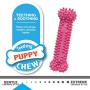 Nylabone Puppy Chew Variety Toy & Treat Triple Pack 3 Count Small/Regular - Up to 25 Ibs.