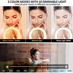 Ring Light with Tripod Stand and Phone Holder, Megoal Selfie Ring Light 8” Dimmable LED Circle Halo Ringlight for Live Steaming Make Up Photo Photography Vlogging YouTube Video TIK Tok