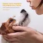 Arm & Hammer Super Deodorizing Spray for Dogs | Best Odor Eliminating Spray for All Dogs & Puppies, Kiwi Blossom Scent,8 Ounces