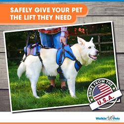 Walkin Lift Full Support Dog Harness for Medium Dogs 50-69 lbs | Lift Support Harness Helps Dogs with Arthritis, Senior Dogs and Pets Recovering from Surgery