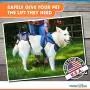 Walkin Lift Full Support Dog Harness for Medium Dogs 50-69 lbs | Lift Support Harness Helps Dogs with Arthritis, Senior Dogs and Pets Recovering from Surgery Walkin Lift Full Support Dog Harness for Medium Dogs 50-69 lbs | Lift Support Harness Helps Dogs with Arthritis, Senior Dogs and Pets Recovering from Surgery