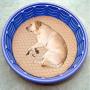 Zampa Pets Quality Whelp Round, Circular Shape Reusable Dog Pee Pads/Quilted, Fast Absorbing Dog Whelping Pad/Waterproof Puppy Training Mats/Machine Washable, Great for Playpen