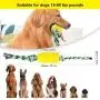 Dog Toothbrush Teeth Cleaning Chew Toys for Aggressive Chewer - Indestructible Interactive Treat Toys for Large Medium Small Dogs - Brushing Stick Dental Oral Care for Pet - Fun to Chew and Fetch