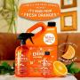 ANGRY ORANGE Ready-to-Use Citrus Pet Odor Eliminator Pet Spray - Urine Remover and Carpet Deodorizer for Dogs and Cats