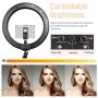 Ring Light 18" with Tripod Stand, Dimmable LED Ring Light 3 Light Modes 2700-5500K with Carry Bag for Camera, iPhone, Ipad, Photography, Selfie, Video Shooting, Makeup & YouTube