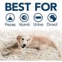 Simple Solution Pet Stain and Odor Remover | Enzymatic Cleaner with 2X Pro-Bacteria Cleaning Power