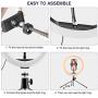 Ring Light with Stand, VINSIC 10” Selfie Ring Light Tripod For iPhone, Phone Tripod Stand With 3 LED Light Modes For Live Stream/Makeup/Vlogging/YouTube Video/Photography For iPhone Android Cellphones