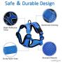 rabbitgoo Cat Harness and Leash for Walking, Escape Proof Soft Adjustable Vest Harnesses for Medium Large Cats, Easy Control Breathable Pet Safety Jacket with Reflective Strips & 1 Metal Leash Ring