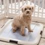 IRIS USA Small Puppy and Dog Training Pet Pad Holder