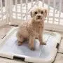 IRIS USA Small Puppy and Dog Training Pet Pad Holder IRIS USA Small Puppy and Dog Training Pet Pad Holder