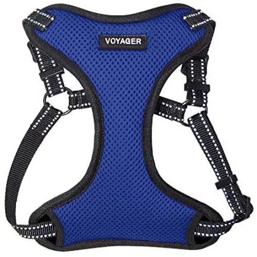 Voyager Step-In Flex Dog Harness - All Weather Mesh, Step In Adjustable Harness for Small and Medium Dogs by Best Pet Supplies Voyager Step-In Flex Dog Harness - All Weather Mesh, Step In Adjustable Harness for Small and Medium Dogs by Best Pet Supplies