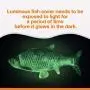Bylure Cat Toys Moving Fish with Motion Sensor, Rechargeable Floppy Fish Catnip Toys, Interactive Pet Pillow, 2 Catnip and 1 Luminous Plush Toy Fish Cover Gift
