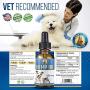 Hemp Oil for Dogs and Cats | The Perfect Hemp for Dogs with Anxiety and Mobility Issues| Updated 2.0 Formula Hemp Mobility for Dogs All Natural Pain Relief for Dogs, Calming, Hip, and Joint (500mg)