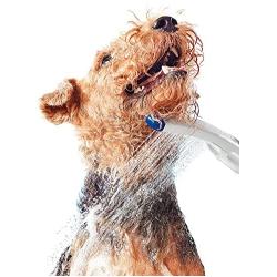 Waterpik PES-142 Pet Wand Dog Shower for Indoor-Outdoor Use, 10.5", Blue/Grey