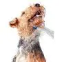 Waterpik PES-142 Pet Wand Dog Shower for Indoor-Outdoor Use, 10.5", Blue/Grey Waterpik PES-142 Pet Wand Dog Shower for Indoor-Outdoor Use, 10.5", Blue/Grey