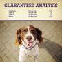 Old Mother Hubbard Mothers Solutions Natural Dog Treats