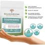 5 Defenders Organic Mushroom Extract Blend for Immune Support & Digestion, 45g Vegan Chaga, Reishi, Shiitake, Maitake & Turkey Tail Powder for Stress & Better Mood, Verified Levels of Beta-Glucans