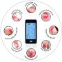 Muscle Stimulator Tens Unit 24 Modes Touch Screen [Lifetime Warranty] EMS Pulse Massager Machine Device Neck Back Leg Shoulder Pain Relief [New Model]