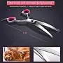 H-Jia Dog Grooming Scissors Set, Safety Round Blunt Tip Pet Grooming Kit-Straight, Curved, Thinning Shears with Comb Grooming Glove, Sharp Durable Grooming Tools for Large Small Dogs and Cats H-Jia Dog Grooming Scissors Set, Safety Round Blunt Tip Pet Grooming Kit-Straight, Curved, Thinning Shears with Comb Grooming Glove, Sharp Durable Grooming Tools for Large Small Dogs and Cats