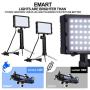 Emart 60 LED Continuous Portable Photography Lighting Kit for Table Top Photo Video Studio Light Lamp with Color Filters - 2 Packs