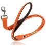 Illumiseen LED Dog Leash - USB Rechargeable - Available in 6 Colors & 2 Sizes - Makes Your Dog Visible, Safe & Seen