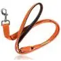 Illumiseen LED Dog Leash - USB Rechargeable - Available in 6 Colors & 2 Sizes - Makes Your Dog Visible, Safe & Seen Illumiseen LED Dog Leash - USB Rechargeable - Available in 6 Colors & 2 Sizes - Makes Your Dog Visible, Safe & Seen