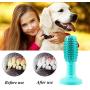 nonogo Dog Toothbrush chew Stick Suction Cup Dog Toy,Natural Rubber Teeth Cleaning Chewing Toys,Non-Toxic Chewy Dog Toothbrush is Suitable for Small and Medium-Sized Pets