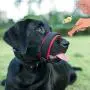 Dog Muzzle for Small Medium Large Dogs Stop Barking Biting and Chewing Breathable Adjustable Soft Pad Dog Muzzle for Small Medium Large Dogs Stop Barking Biting and Chewing Breathable Adjustable Soft Pad