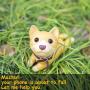 Cute Puppy Dog Desk Cell Phone Stand Holder Cartoon Smartphone Holder Bracket Ornament for Desk,Shiba Inu