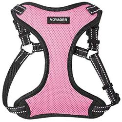 Voyager Step-In Flex Dog Harness - All Weather Mesh, Step In Adjustable Harness for Small and Medium Dogs by Best Pet Supplies