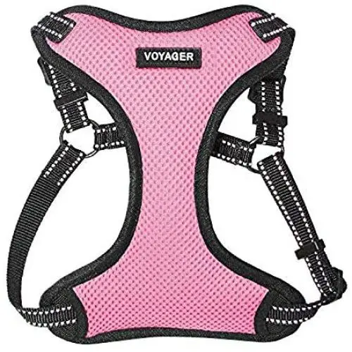 Voyager Step-In Flex Dog Harness - All Weather Mesh, Step In Adjustable Harness for Small and Medium Dogs by Best Pet Supplies Voyager Step-In Flex Dog Harness - All Weather Mesh, Step In Adjustable Harness for Small and Medium Dogs by Best Pet Supplies