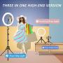 Ring Light with Tripod Stand and Phone Holder, FURANDE 10" Dimmable Makeup Light, 3 Light Modes 10 Brightness Selfie Ring Light for Live Stream/Photography/YouTube, Compatible with iPhone/Android