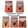 Peabownn Kalimba 17 Keys Reindeer Thumb Piano with Study book, Gifts for Kids Adult Beginners