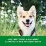 WAG Dental Dog Treats to Help Clean Teeth & Freshen Breath