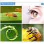 Camera Lens Kit for iPhone Samsung and Other Smartphone, with Wide Angle Lens and Macro Lens