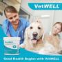 VetWELL Dog Ear Wipes - Otic Cleaning Wipes for Infections and Controlling Yeast, Mites and Odor in Pets - EarWELL 100 Count
