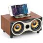 TAMPROAD Desktop Wooden Wireless Bluetooth Portable Speaker with HD Sound and Bass Support Mobile Phone Stand, USB, TF Card, FM Radio, Owl-Shaped Speakers for Camping, Biking, Partying, Travel