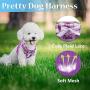 PUPTECK Checkered Frills Soft Mesh Dog Vest Harness Puppy Padded Pet Harnesses for Cat Small Dogs