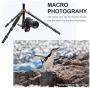 K&F Concept TM2515T1 Professional 67 inch Camera Tripod Horizontal Aluminium Tripods Portable Monopod with 360 Degree Ball Head Quick Release Plate for Canon Nikon Sony DSLR Cameras