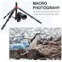 K&F Concept TM2515T1 Professional 67 inch Camera Tripod Horizontal Aluminium Tripods Portable Monopod with 360 Degree Ball Head Quick Release Plate for Canon Nikon Sony DSLR Cameras K&F Concept TM2515T1 Professional 67 inch Camera Tripod Horizontal Aluminium Tripods Portable Monopod with 360 Degree Ball Head Quick Release Plate for Canon Nikon Sony DSLR Cameras