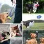 Petbobi Dog Toys Dog Teething Toys Best Puppy Chew Toys Plush Dog Chew Toys Squeaky Toys Set Rope with Balls 6 pcs