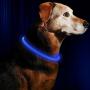 BSEEN LED Dog Collar, USB Rechargeable, Glowing pet Dog Collar for Night Safety, Fashion Light up Collar for Small Medium Large Dogs