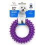 Best Pet Supplies, Inc. Pet Rubber Chew Toy