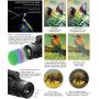 Monocular Telescope, 12X50 HD Low Night Vision Waterproof- Shockproof High Power and Phone Adapter, Tripod Holder for Bird Watching Hunting Camping Hiking Travelling Secen[Best Telescope 2020]